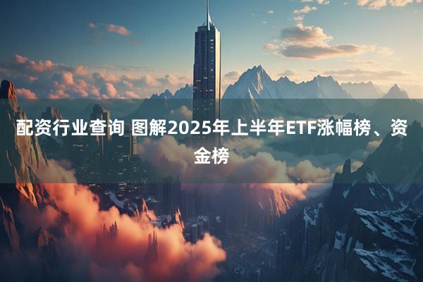 配资行业查询 图解2025年上半年ETF涨幅榜、资金榜
