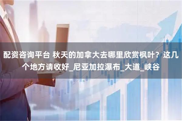 配资咨询平台 秋天的加拿大去哪里欣赏枫叶？这几个地方请收好_尼亚加拉瀑布_大道_峡谷