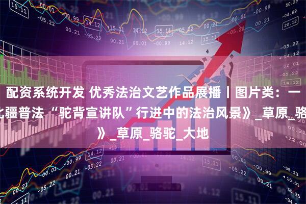 配资系统开发 优秀法治文艺作品展播丨图片类：一等奖《北疆普法 “驼背宣讲队”行进中的法治风景》_草原_骆驼_大地
