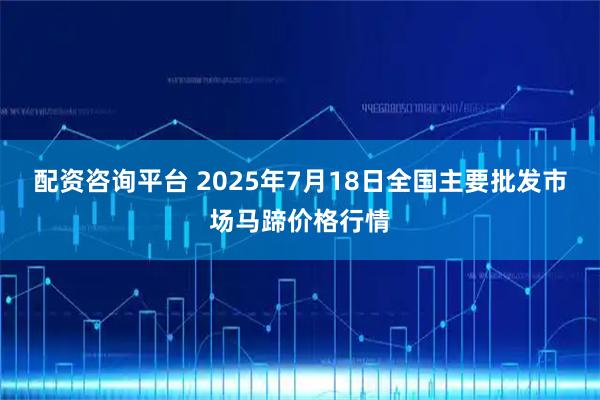 配资咨询平台 2025年7月18日全国主要批发市场马蹄价格行情