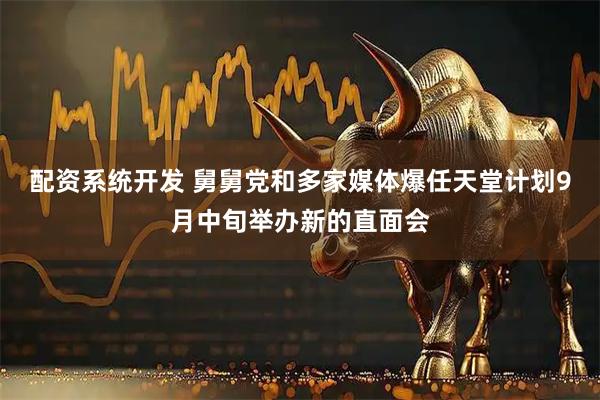 配资系统开发 舅舅党和多家媒体爆任天堂计划9月中旬举办新的直面会