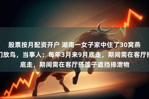 股票按月配资开户 湖南一女子家中住了30窝燕子，每天早起开门放鸟，当事人：每年3月来9月底走，期间需在客厅搭篷子遮挡排泄物